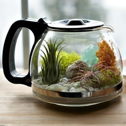 �ɿ��Ⱥ�diy�����辰