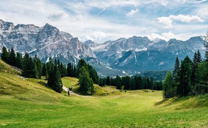 ��̼�г�����������ɫ��̼ת��